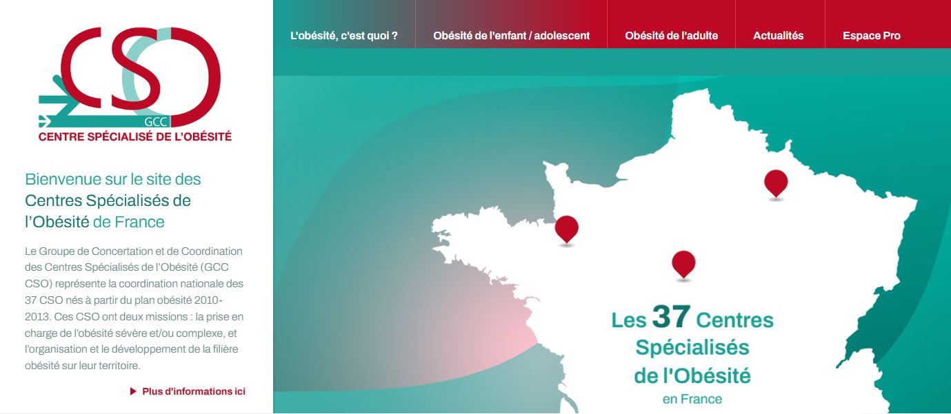 https://obesite-idf.fr/app/uploads/2025/06/Site-GCC-CSO.jpg
