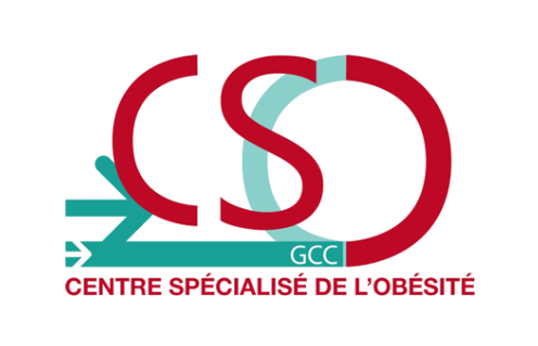 Découvrez le site internet du GCC-CSO